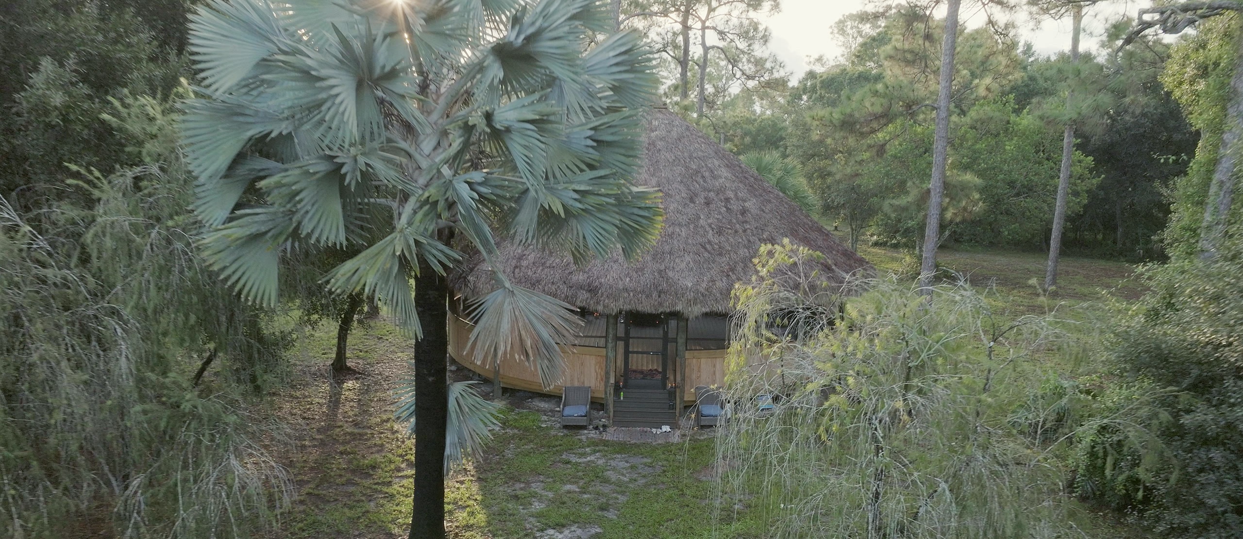 The maloca in its clearing, a fan palm in the foreground, tall pines silhouetted against a soft, clouded sky.